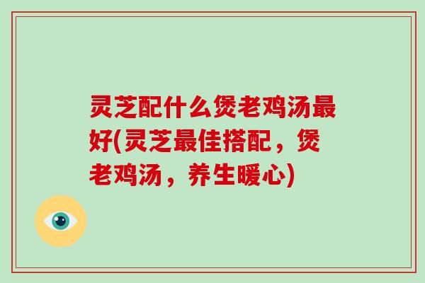 灵芝配什么煲老鸡汤最好(灵芝最佳搭配,煲老鸡汤,养生暖心)