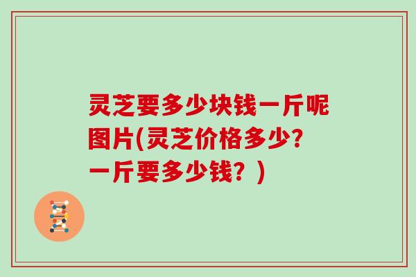 灵芝要多少块钱一斤呢图片(灵芝价格多少?一斤要多少钱?)