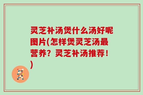 灵芝补汤煲什么汤好呢图片(怎样煲灵芝汤最营养?灵芝补汤推荐!)