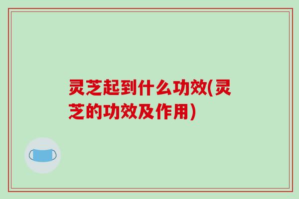 灵芝起到什么功效(灵芝的功效及作用)