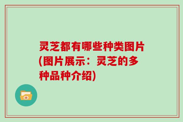 灵芝都有哪些种类图片(图片展示:灵芝的多种品种介绍)
