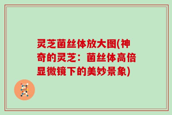 灵芝菌丝体放大图(神奇的灵芝：菌丝体高倍显微镜下的美妙景象)