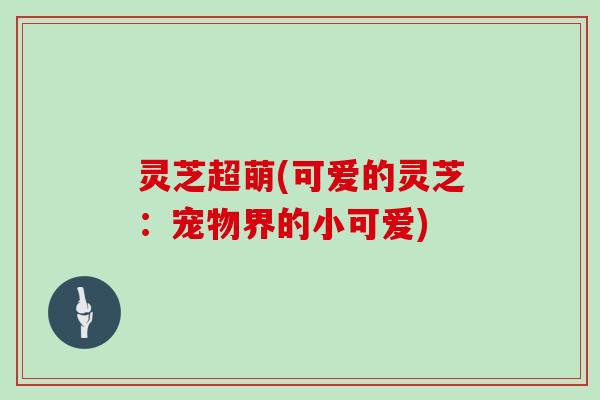 灵芝超萌(可爱的灵芝:宠物界的小可爱)