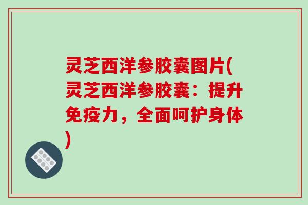 灵芝西洋参胶囊图片(灵芝西洋参胶囊:提升免疫力,全面呵护身体)