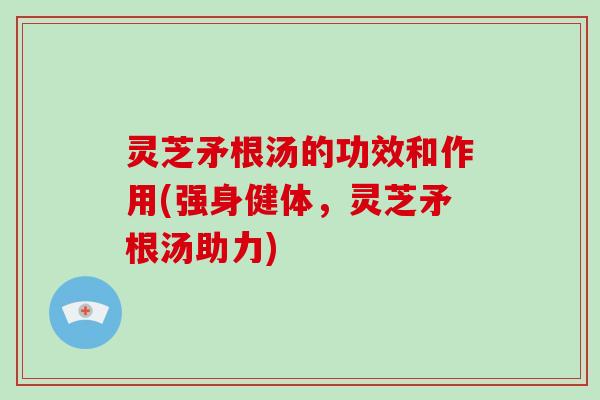 灵芝矛根汤的功效和作用(强身健体,灵芝矛根汤助力)