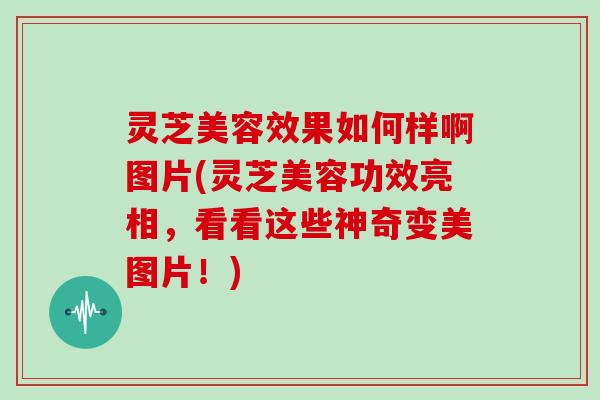 灵芝美容效果如何样啊图片(灵芝美容功效亮相,看看这些神奇变美图片!)