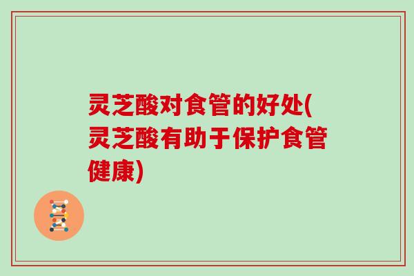 灵芝酸对食管的好处(灵芝酸有助于保护食管健康)