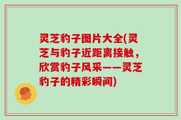 灵芝豹子图片大全(灵芝与豹子近距离接触,欣赏豹子风采——灵芝豹子的精彩瞬间)