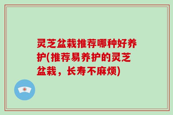 灵芝盆栽推荐哪种好养护(推荐易养护的灵芝盆栽,长寿不麻烦)