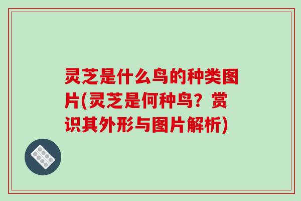 灵芝是什么鸟的种类图片(灵芝是何种鸟？赏识其外形与图片解析)