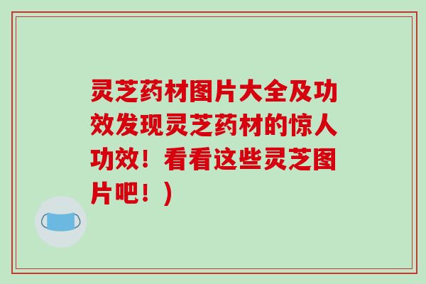 灵芝药材图片大全及功效发现灵芝药材的惊人功效!看看这些灵芝图片吧!)