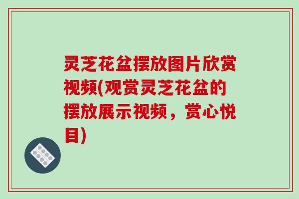 灵芝花盆摆放图片欣赏视频(观赏灵芝花盆的摆放展示视频,赏心悦目)