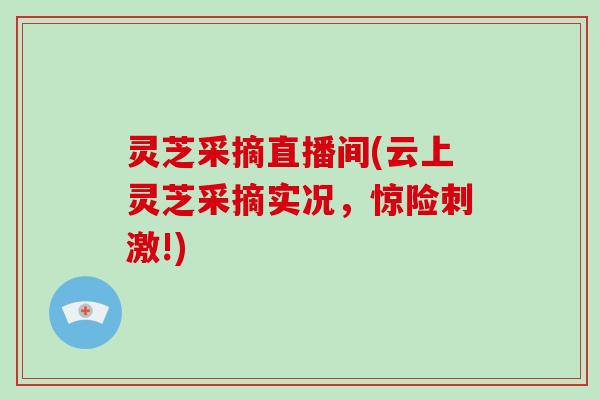 灵芝采摘直播间(云上灵芝采摘实况,惊险刺激!)