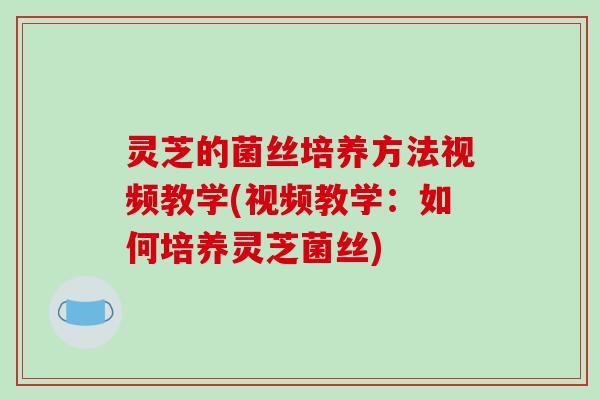灵芝的菌丝培养方法视频教学(视频教学:如何培养灵芝菌丝)