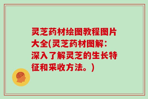 灵芝药材绘图教程图片大全(灵芝药材图解:深入了解灵芝的生长特征和采收方法。)