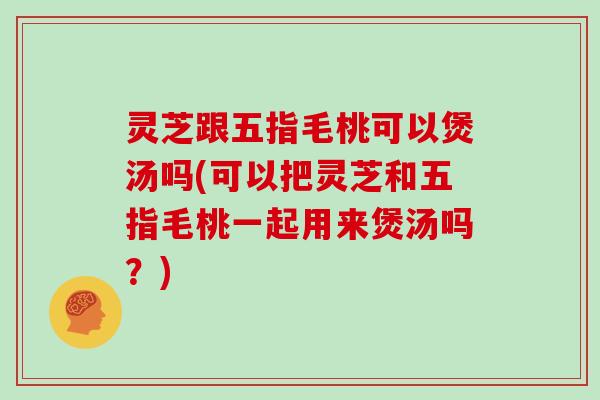 灵芝跟五指毛桃可以煲汤吗(可以把灵芝和五指毛桃一起用来煲汤吗?)