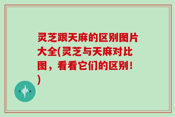灵芝跟天麻的区别图片大全(灵芝与天麻对比图,看看它们的区别!)