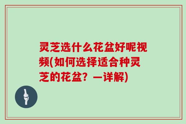 灵芝选什么花盆好呢视频(如何选择适合种灵芝的花盆？—详解)