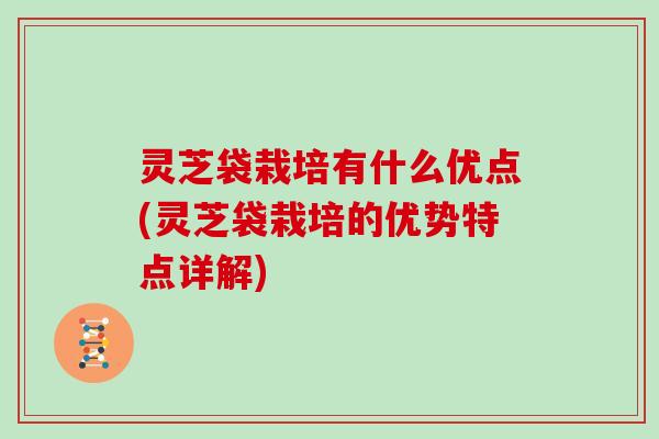 灵芝袋栽培有什么优点(灵芝袋栽培的优势特点详解)