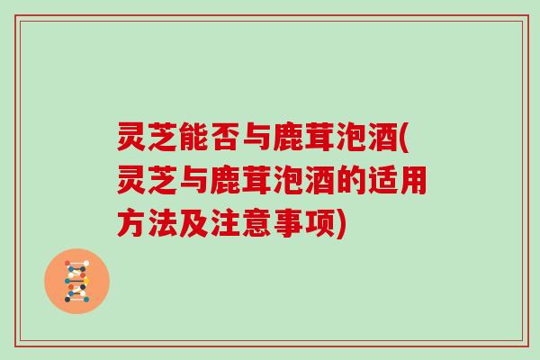 灵芝能否与鹿茸泡酒(灵芝与鹿茸泡酒的适用方法及注意事项)