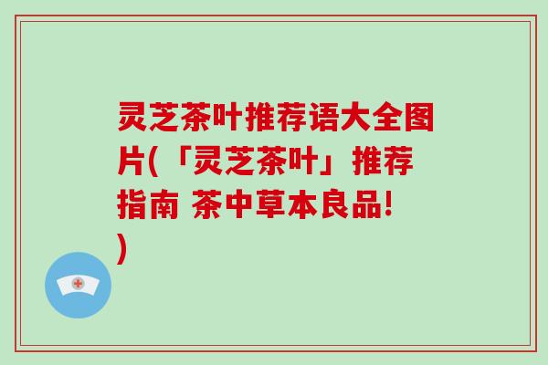 灵芝茶叶推荐语大全图片(「灵芝茶叶」推荐指南 茶中草本良品!)