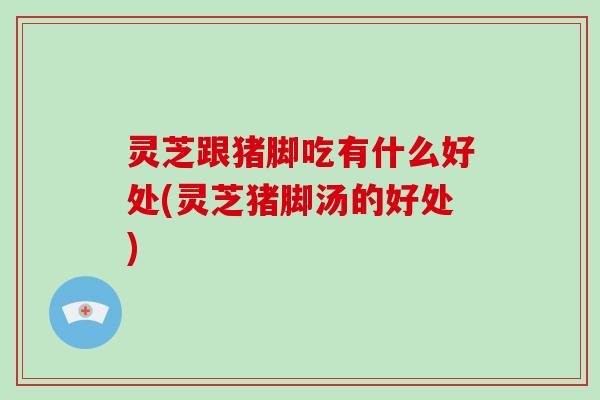 灵芝跟猪脚吃有什么好处(灵芝猪脚汤的好处)