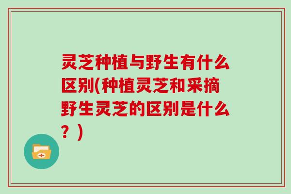 灵芝种植与野生有什么区别(种植灵芝和采摘野生灵芝的区别是什么?)