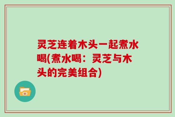 灵芝连着木头一起煮水喝(煮水喝:灵芝与木头的完美组合)