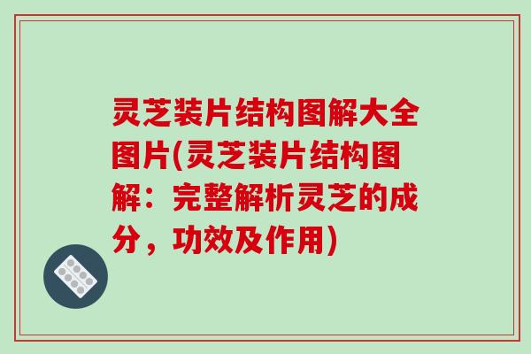 灵芝装片结构图解大全图片(灵芝装片结构图解:完整解析灵芝的成分,功效及作用)