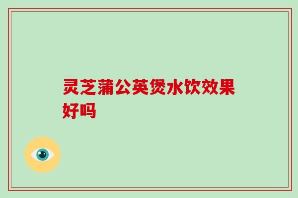灵芝蒲公英煲水饮效果好吗