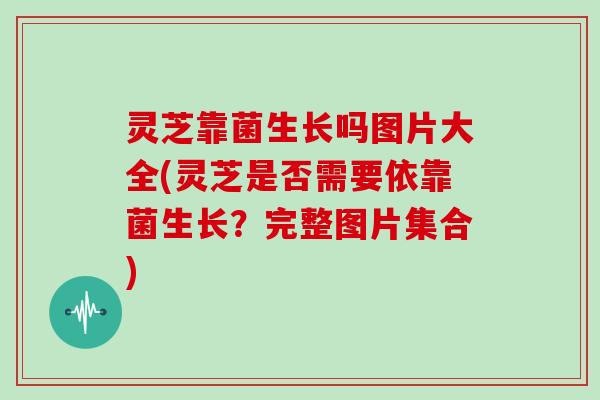 灵芝靠菌生长吗图片大全(灵芝是否需要依靠菌生长?完整图片集合)