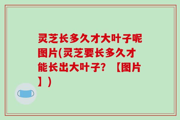 灵芝长多久才大叶子呢图片(灵芝要长多久才能长出大叶子?【图片】)