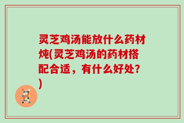 灵芝鸡汤能放什么药材炖(灵芝鸡汤的药材搭配合适，有什么好处？)