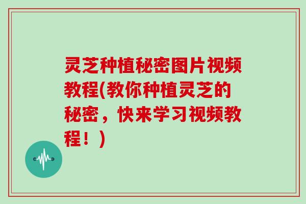 灵芝种植秘密图片视频教程(教你种植灵芝的秘密,快来学习视频教程!)