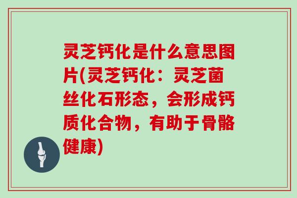 灵芝钙化是什么意思图片(灵芝钙化:灵芝菌丝化石形态,会形成钙质化合物,有助于骨骼健康)