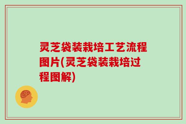 灵芝袋装栽培工艺流程图片(灵芝袋装栽培过程图解)