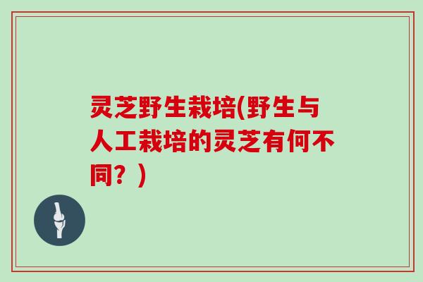 灵芝野生栽培(野生与人工栽培的灵芝有何不同？)