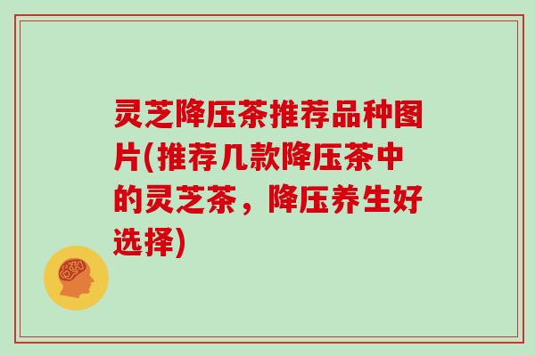 灵芝降压茶推荐品种图片(推荐几款降压茶中的灵芝茶,降压养生好选择)