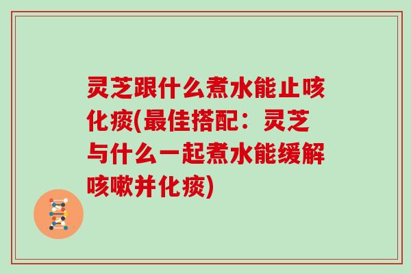 灵芝跟什么煮水能止咳化痰(最佳搭配:灵芝与什么一起煮水能缓解咳嗽并化痰)