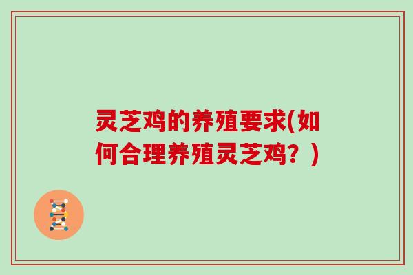 灵芝鸡的养殖要求(如何合理养殖灵芝鸡？)