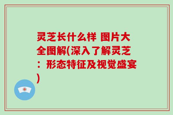 灵芝长什么样 图片大全图解(深入了解灵芝:形态特征及视觉盛宴)