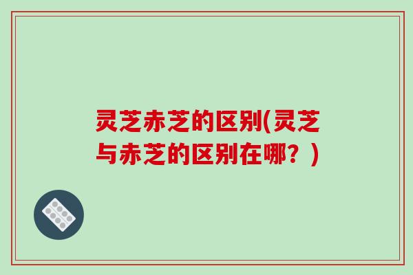灵芝赤芝的区别(灵芝与赤芝的区别在哪?)