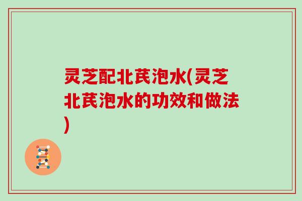 灵芝配北芪泡水(灵芝北芪泡水的功效和做法)