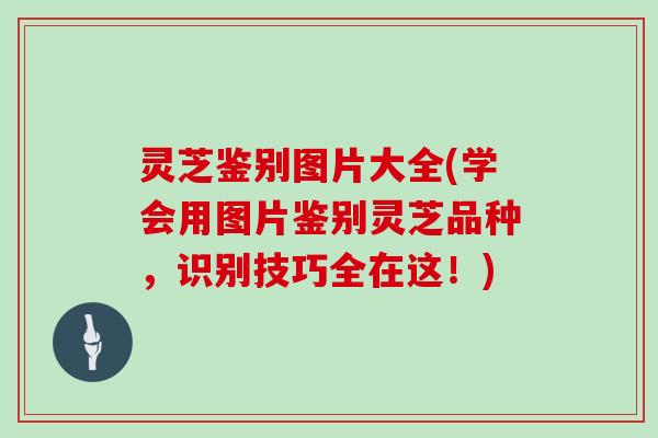 灵芝鉴别图片大全(学会用图片鉴别灵芝品种，识别技巧全在这！)