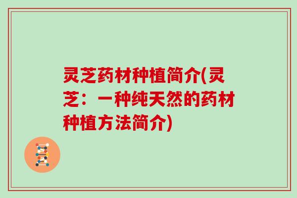 灵芝药材种植简介(灵芝:一种纯天然的药材种植方法简介)