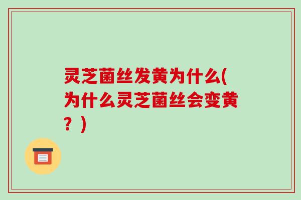 灵芝菌丝发黄为什么(为什么灵芝菌丝会变黄？)