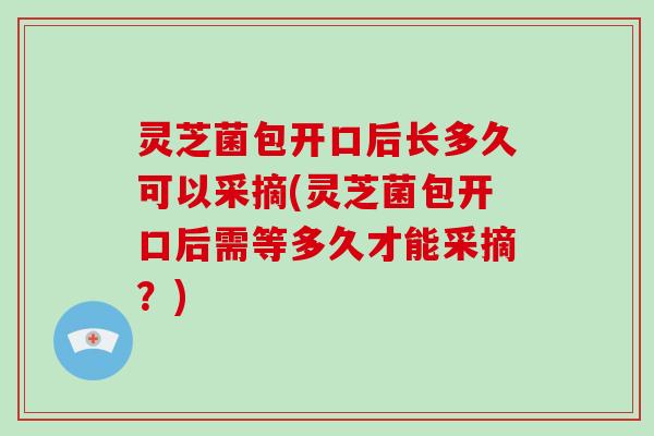 灵芝菌包开口后长多久可以采摘(灵芝菌包开口后需等多久才能采摘?)