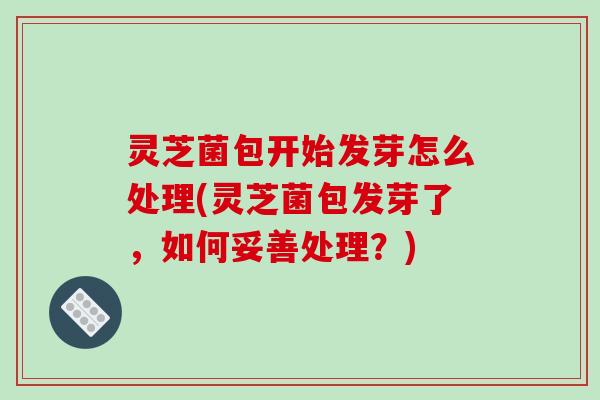灵芝菌包开始发芽怎么处理(灵芝菌包发芽了,如何妥善处理?)
