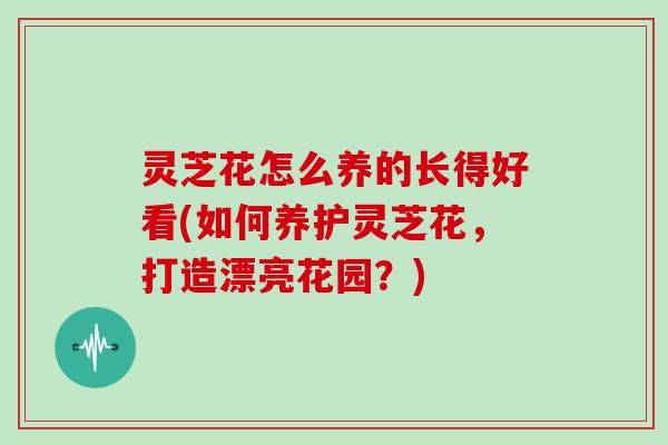灵芝花怎么养的长得好看(如何养护灵芝花，打造漂亮花园？)