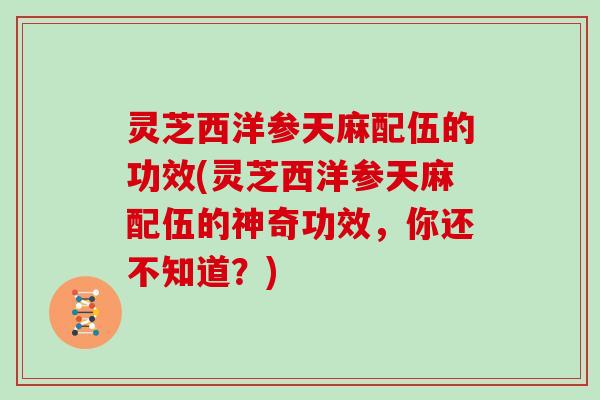 灵芝西洋参天麻配伍的功效(灵芝西洋参天麻配伍的神奇功效，你还不知道？)
